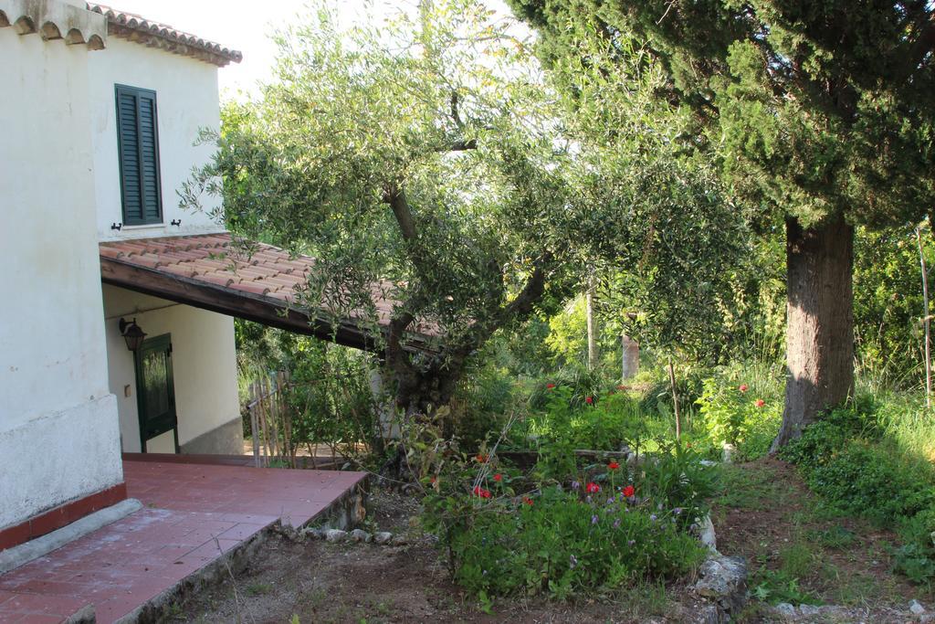 Tenuta Conte Ruggero Santa Domenica  Zimmer foto